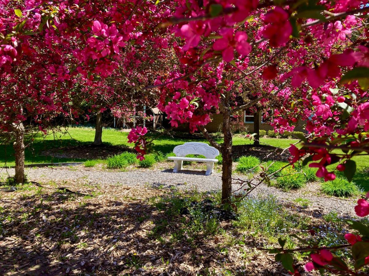 Garden Grove Retreat & Lodging Near Pictured Rocks, Fayette, Trails 외부 사진
